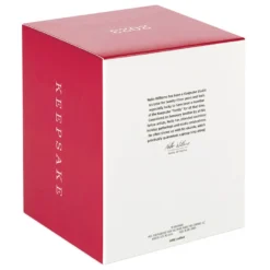 Hallmark Avatar: The Way Of Water Jake Sully On Skimwing Ornament -Outlet Gift Echoes Store Avatar Jake Sully on Skimwing Keepsake Ornament 2799QXI7417 05