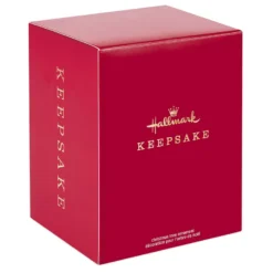 Hallmark NFL Football Philadelphia Eagles Text And Photo Personalized Ornament -Outlet Gift Echoes Store NFL Football Philadelphia Eagles Text and Photo Personalized Ornament 2499QHE1985B16 04