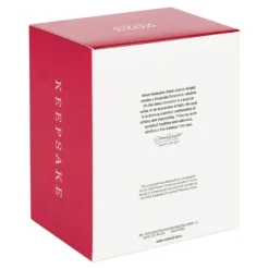 Hallmark Father Christmas's Reindeer Ornament -Outlet Gift Echoes Store Reindeer With Toy Sack Keepsake Ornament 2199QXE3287 05