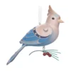 Hallmark The Beauty Of The Birds Leucistic Steller's Jay Ornament 1 Hallmark The Beauty Of The Birds Leucistic Steller's Jay Ornament -Outlet Gift Echoes Store Stellers Jay Blue Bird Keepsake Ornament 1799QXE3307 01