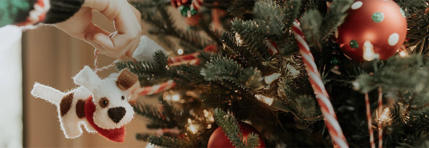 Outlet Gift Echoes Store -Outlet Gift Echoes Store 2